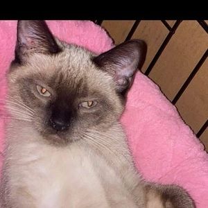 Meet your Posher, Martina